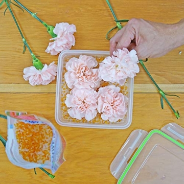 Flower Drying Crystals - Preserve Your Special Blooms