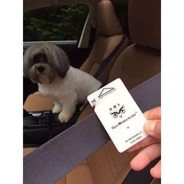 OWL 4 Pack Car Window Glass Breaker & Seatbelt Cutter Card Emergency Escape Rescue Hammer Safety Life Saving Crash Survival Kit 2-in-1 Tool - Made in USA (4 Ivory Cards/no Holders)