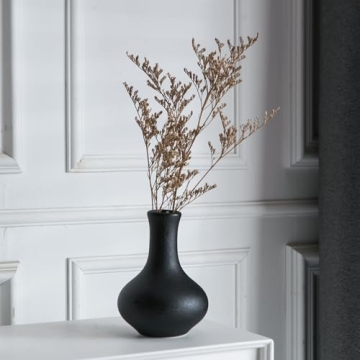 Tanvecle Small Black Vases Set of 5 for Home Decor