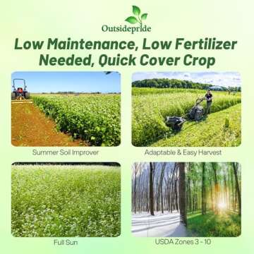 Outsidepride Buckwheat Seeds - 10lbs Annual, Fast-Growing, Easy to Grow Buckwheat Cover Crop Seeds f...