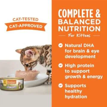 Instinct Original Pate Kitten Wet Cat Food, Grain Free - Real Chicken, 5.5 oz. Cans (Pack of 12)