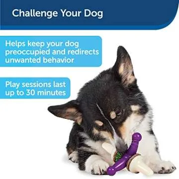 PetSafe Busy Buddy Jack - Treat Holding Dog Chew Toys - Helps Clean Teeth - Vanilla Scented Rubber for Strong Chewers - Treat Refills Included, Interactive Dog Toy Helps Keep Dogs Busy, Purple, Medium
