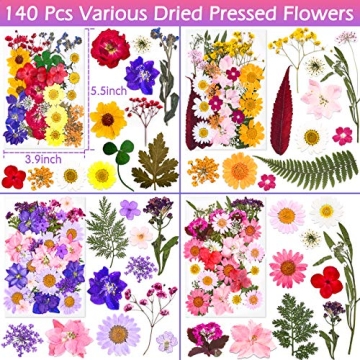 140 PCS Dried Pressed Flowers Kit for Crafting Masterpieces