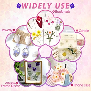140 PCS Dried Pressed Flowers Kit for Crafting Masterpieces