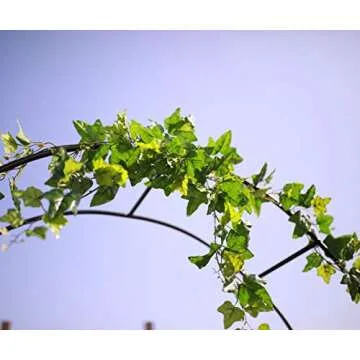 1. GO Steel Garden Arch, 7'8" High x 4'5" Wide, Garden Arbor for Various Climbing Plant, Outdoor Garden Lawn Backyard