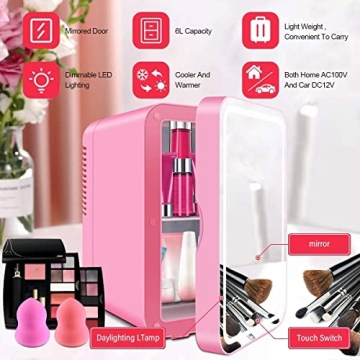 Portable 6L Mirrored Beauty Fridge with LED Lighting
