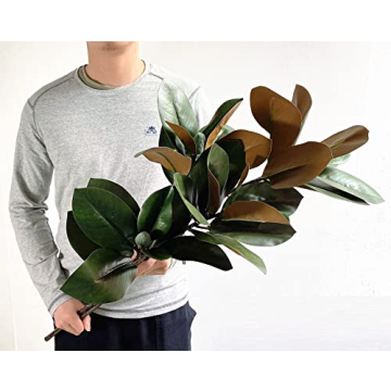 Lifelike 32 Inch Magnolia Artificial Leaves Branches