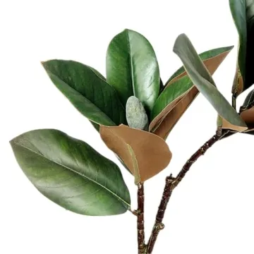 Lifelike 32 Inch Magnolia Artificial Leaves Branches