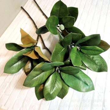 Lifelike 32 Inch Magnolia Artificial Leaves Branches