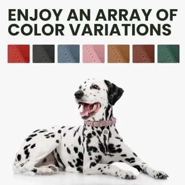 BRONZEDOG Rolled Leather Dog Collar with QR ID Tag Adjustable Soft Round Collars for Small Medium Large Dogs Puppy Cat (14" - 16" Neck Size, Light Brown)