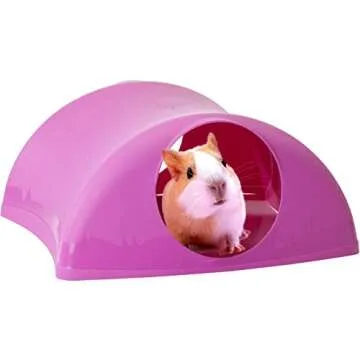 Lixit Critter Hollow Igloo Hidaway Home for Guinea Pigs, Chinchillas, Rats and Other Small Animals. (Assorted)