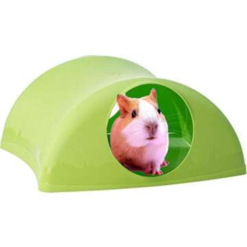 Lixit Critter Hollow Igloo Hidaway Home for Guinea Pigs, Chinchillas, Rats and Other Small Animals. (Assorted)