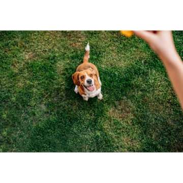 Chip's Naturals Doggie Chicken Chips 15 oz All Natural Treats