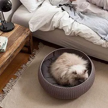 Keter by Curver Knit Cozy Resin Plastic Pet Bed – Stylish & Comfy for Small Pets