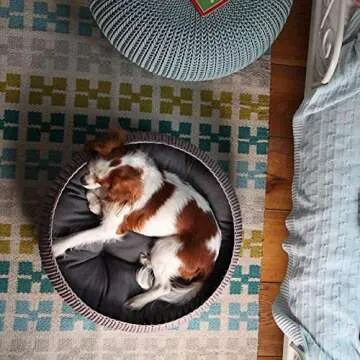 Stylish Keter Knit Cozy Pet Bed for Cats and Dogs