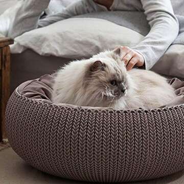 Keter by Curver Knit Cozy Resin Plastic Pet Bed, Cat Bed & Dog Bed with Cushion, Small Dogs to Medium Cats, Sandy Beige