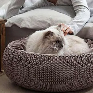 Stylish Keter Knit Cozy Pet Bed for Cats and Dogs