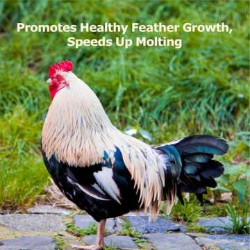 WORMSKING 5LB Dried Black Soldier Fly Larvae, More Calcium Than Dried Mealworms, High Protein Chicken Feed, BSFL, Poultry Treats