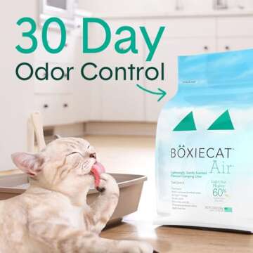 Boxie Cat Litter: Lightweight Odor Control, 30 Days Fresh