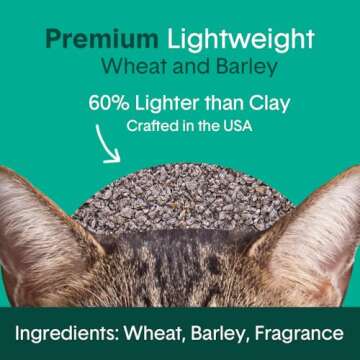 Boxie Cat Litter: Lightweight Odor Control, 30 Days Fresh