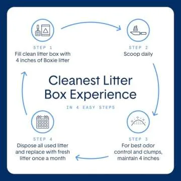 Boxie Cat Litter: Lightweight Odor Control, 30 Days Fresh