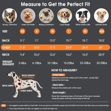 Queenmore Dog Sweater: Warm & Cozy Winter Dog Apparel