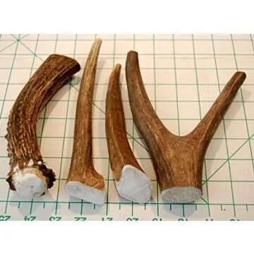 Premium Deer Antler Pieces - Dog Chews - Antlers by The Pound, One Pound - Six Inches or Longer - Medium, Large and XL - Happy Dog Guarantee!
