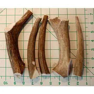 Premium Deer Antler Pieces - Dog Chews - Antlers by The Pound, One Pound - Six Inches or Longer - Medium, Large and XL - Happy Dog Guarantee!