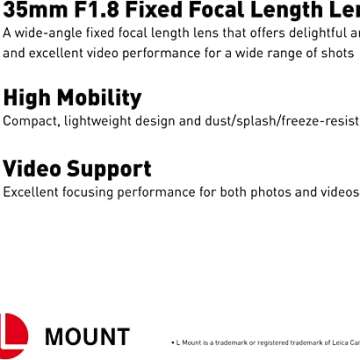 Panasonic S35 L Mount Mirrorless Camera