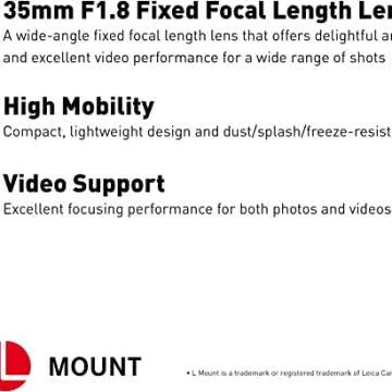 Panasonic S35 L Mount Mirrorless Camera