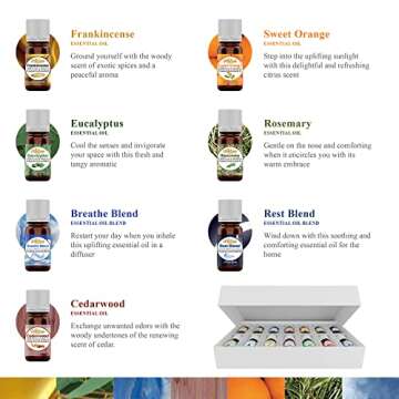 Artizen Top 14 Essential Oil Set for Diffuser, Aromatherapy and Candle Making - Fall Holiday Fragrance Scents with Lavender, Frankincense, Eucalyptus Oils and More