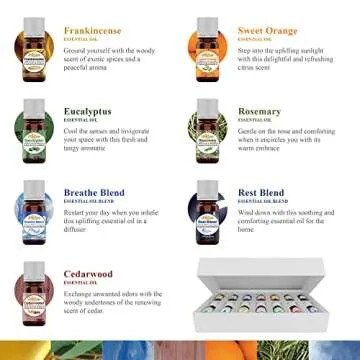 Artizen Top 14 Essential Oil Set for Diffuser, Aromatherapy and Candle Making - Fall Holiday Fragrance Scents with Lavender, Frankincense, Eucalyptus Oils and More