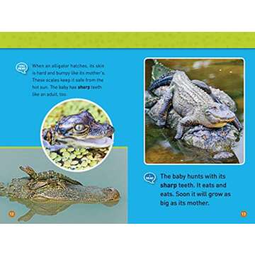 Tadpole to Frog (National Geographic Kids Readers, Level 1/Co-Reader): Animals Grow Up