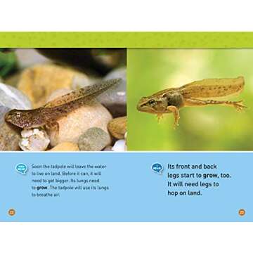 Tadpole to Frog (National Geographic Kids Readers, Level 1/Co-Reader): Animals Grow Up