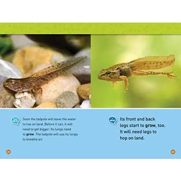 Tadpole to Frog (National Geographic Kids Readers, Level 1/Co-Reader): Animals Grow Up