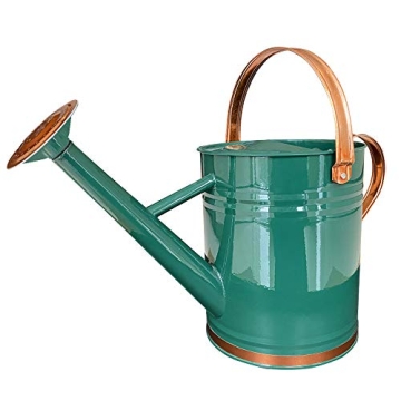 SunnyTong Metal Watering Can - Perfect for Indoor and Outdoor Plants, 1 Gallon Green