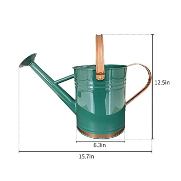 SunnyTong 1 Gallon Metal Watering Can - Stylish and Functional