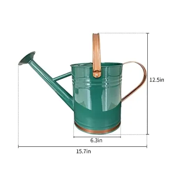 SunnyTong 1 Gallon Metal Watering Can - Stylish and Functional