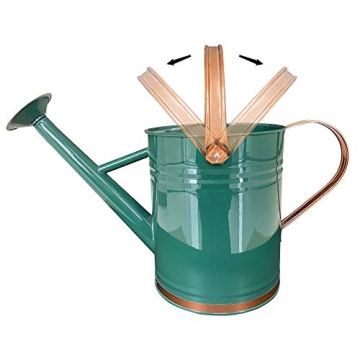 SunnyTong 1 Gallon Metal Watering Can - Stylish and Functional