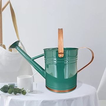 SunnyTong 1 Gallon Metal Watering Can - Stylish and Functional