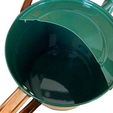 SunnyTong 1 Gallon Metal Watering Can - Stylish and Functional