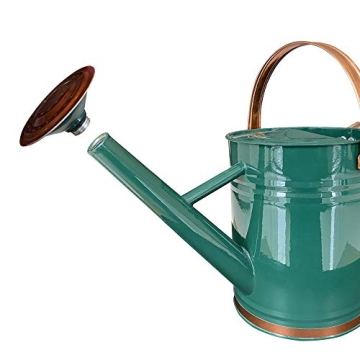 SunnyTong 1 Gallon Metal Watering Can - Stylish and Functional