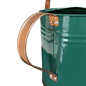 SunnyTong 1 Gallon Metal Watering Can - Stylish and Functional