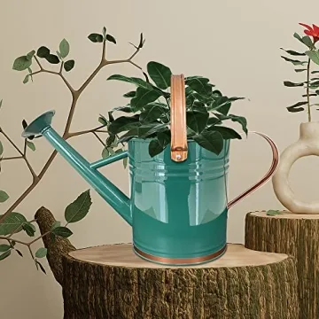 SunnyTong 1 Gallon Metal Watering Can - Stylish and Functional