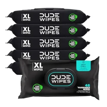 DUDE Wipes - Flushable Wipes - Mint Chill Extra-Large Wet Wipes with Aloe & Eucalyptus - 288 Count