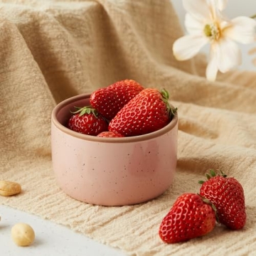 Morandi Color Ramekins Set of 6 - Oven Safe & Stylish