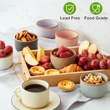 Morandi Color Ramekins Set of 6 - Oven Safe & Stylish