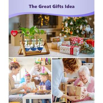 Nacome Plant Terrarium for Office Decor: Wooden Stand Tabletop Planter 3 Bulb Glass Vase Metal Swive...