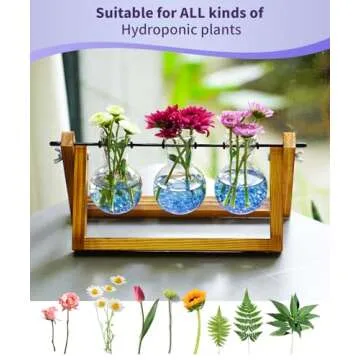 Nacome Plant Terrarium for Office Decor: Wooden Stand Tabletop Planter 3 Bulb Glass Vase Metal Swivel Holder for Hydroponics Indoor Home - Birthday Gifts for Women Mom Grandma
