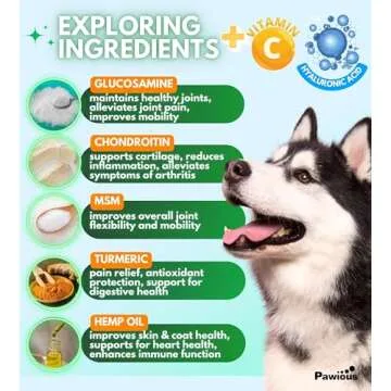 Pawious Hip and Joint Chews for Dogs - Glucosamine for Dogs - Dog Joint Pain Relief - Chondroitin, MSM, Turmeric, Hemp Oil Treats - Advanced Support Dog Joint Supplement Health - Mobility Bites